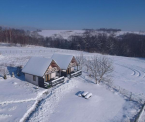 Apartamenty Żywiec, Żywiec